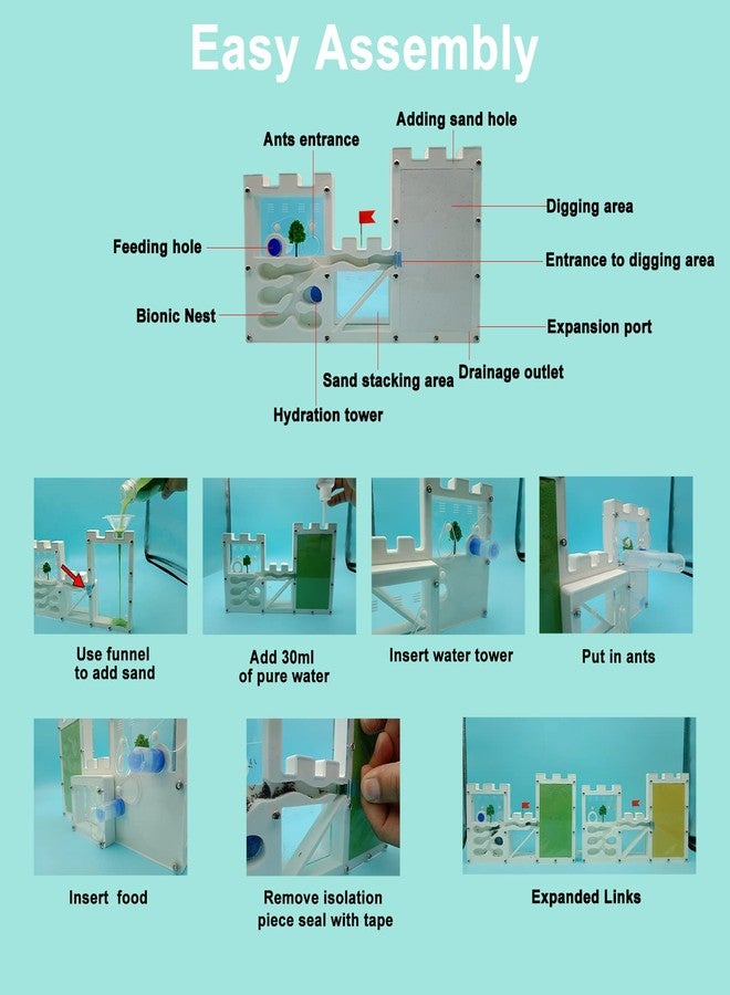 EXBEPE Large Sand Ant Farm Castle,Ant Habitat Ecosystem to Study Ant Colony Behavior Science Educational Kit for Kids - Image 5